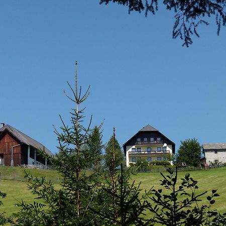Ferienwohnungen Bachergut Mariapfarr Habitación foto
