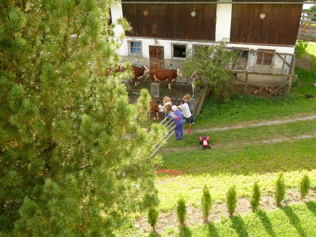 Ferienwohnungen Bachergut Mariapfarr Habitación foto