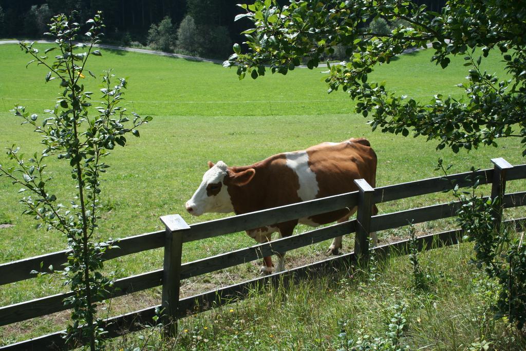 Ferienwohnungen Bachergut Mariapfarr Habitación foto